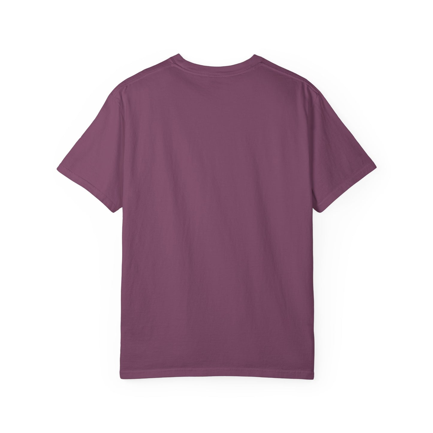 Silly Goose Softball Shirt